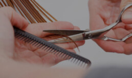 corte